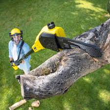 Best Lawn Drainage Solutions  in El Granada, CA